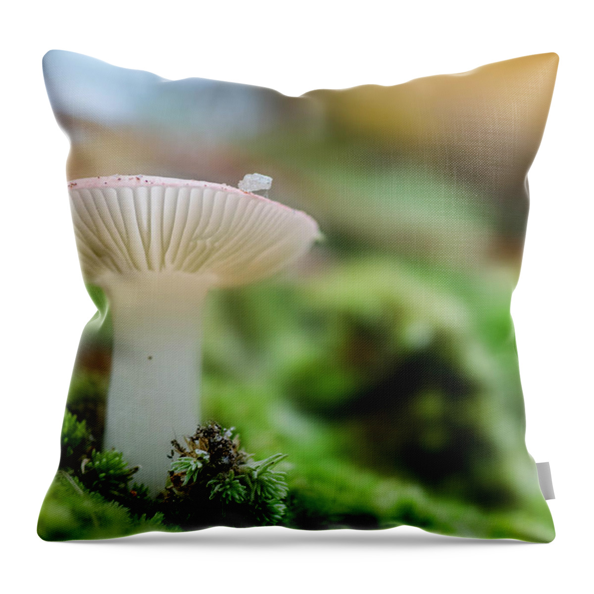 Mushroom Throw Pillow featuring the photograph Mushroom 5 by Beth Venner