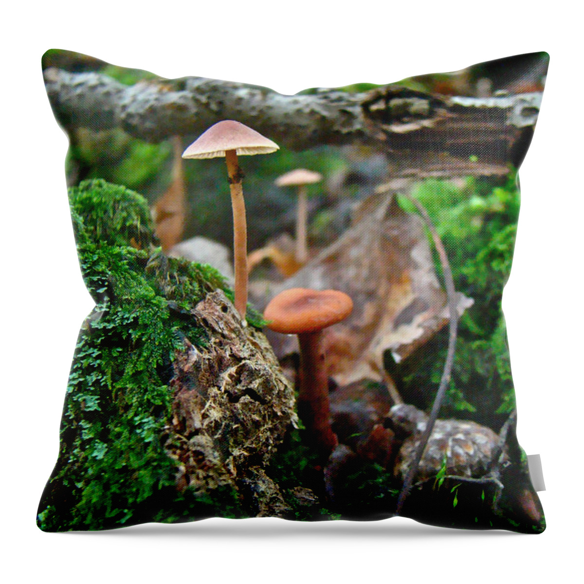 Mushrooms Throw Pillow featuring the photograph Mushroom Forest Garden by Carol Senske