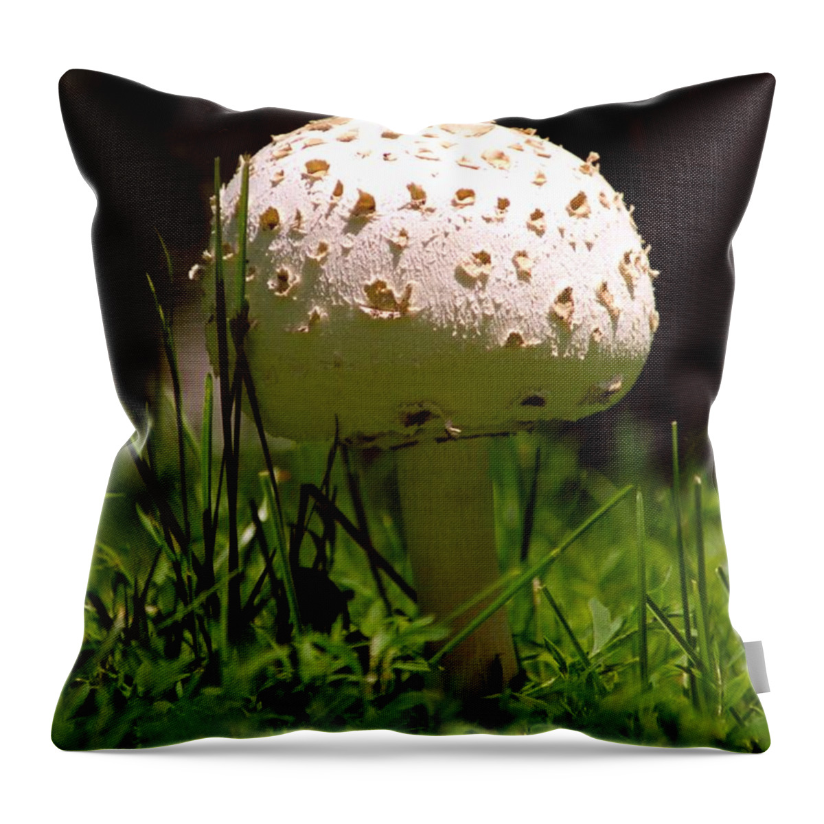 Mushroom; Nature; Plant Throw Pillow featuring the photograph Mushroom by Lonnie Paulson