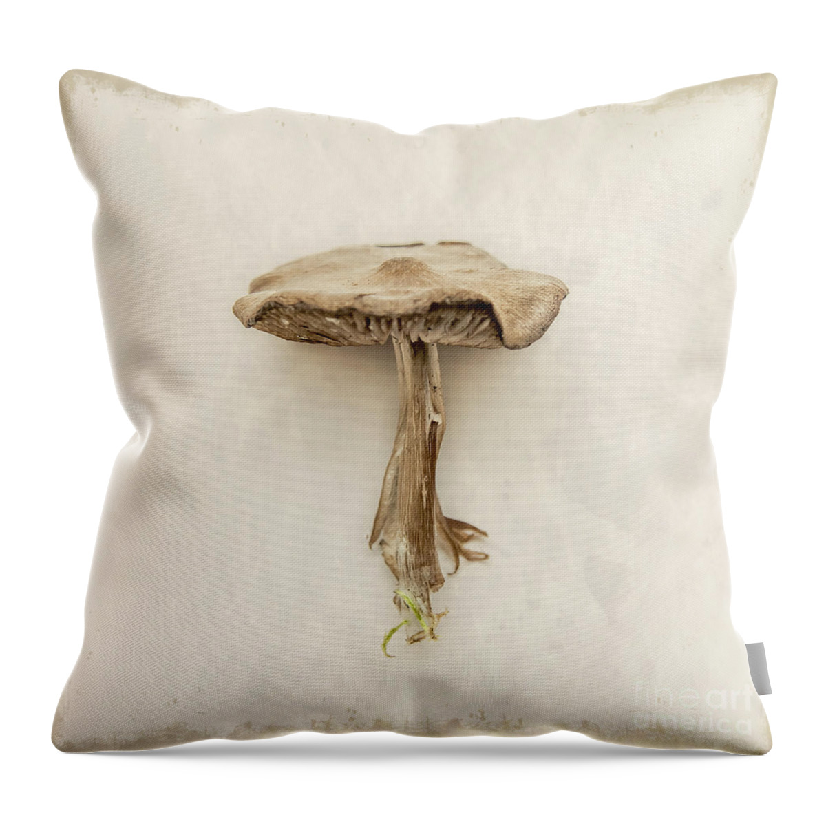 Square Throw Pillow featuring the photograph Mushroom by Lucid Mood