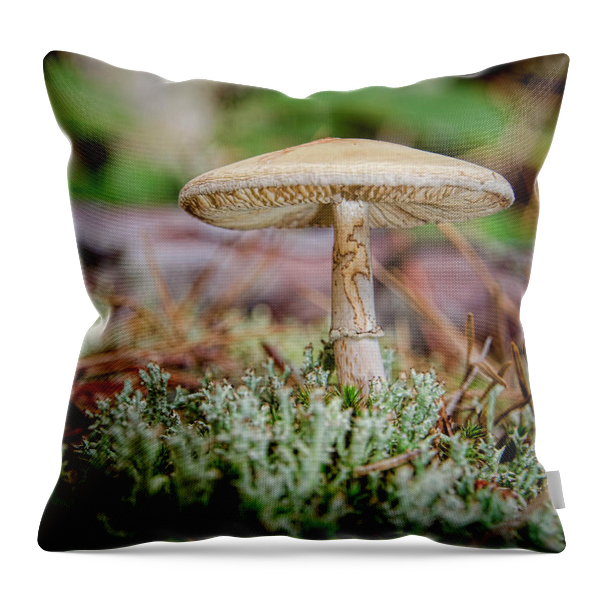 Mushroom Throw Pillow featuring the photograph Mushroom1 by Beth Venner