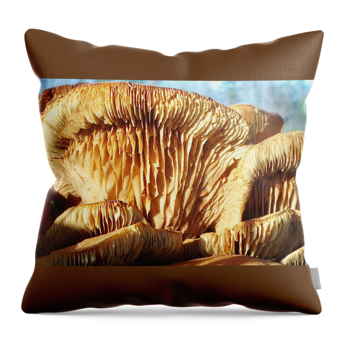 Mushrooms Throw Pillow featuring the photograph Mushrooms by Jan Marvin by Jan Marvin
