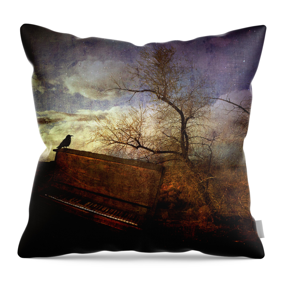 Antique Throw Pillow featuring the photograph Music of the Wind by Michele Cornelius