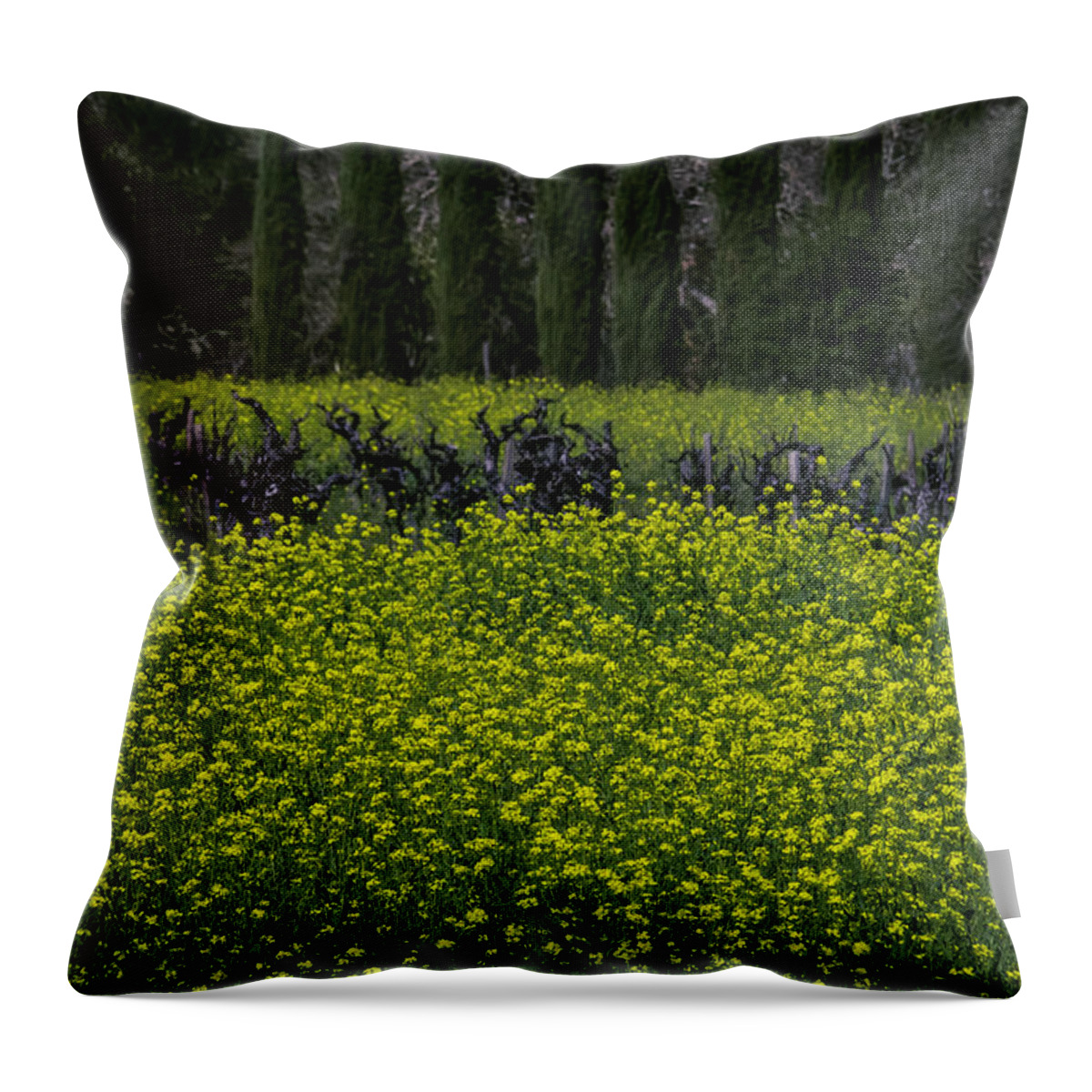 Mustard Grass Throw Pillow featuring the photograph Mustard Grass In An Old Vineyard by Garry Gay