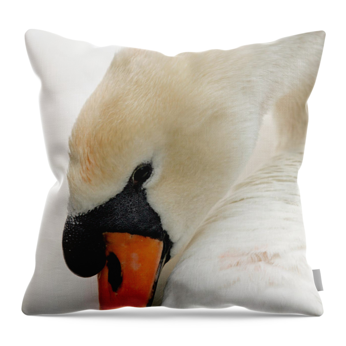 Cygnus Color Throw Pillow featuring the photograph Mute Swan Fine Art Photograph by John Harmon