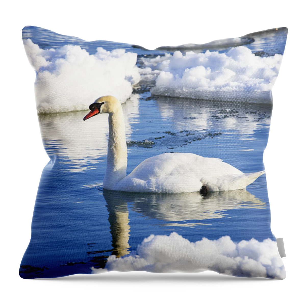Gary Hall Throw Pillow featuring the photograph Mute Swan by Gary Hall