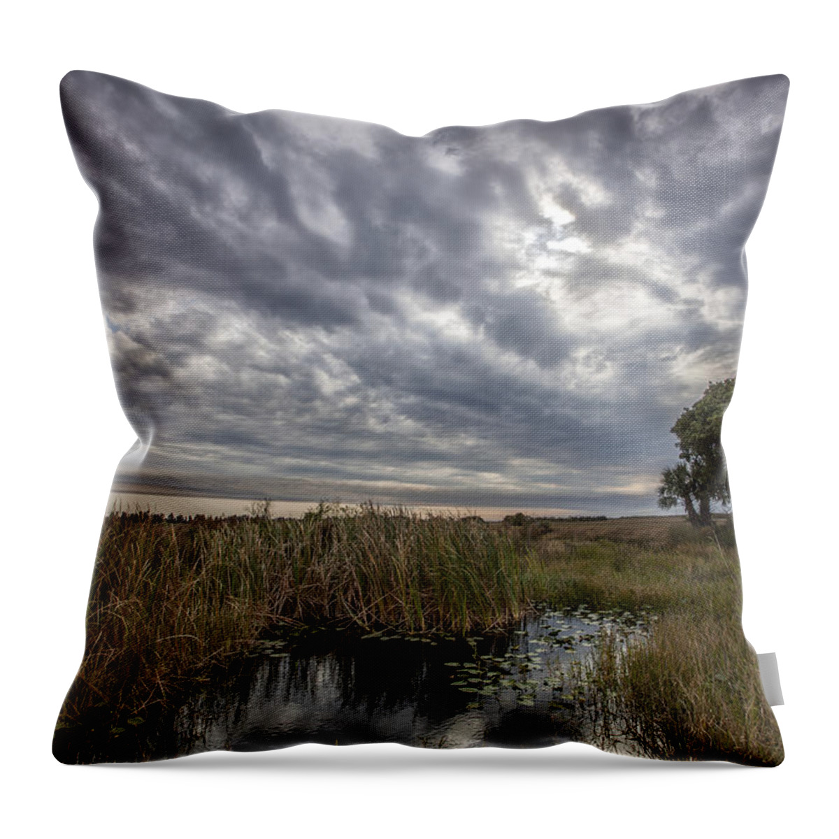 Gray Throw Pillow featuring the photograph My Backyard by Jon Glaser