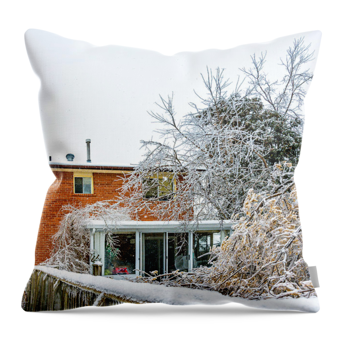 Steve Harrington Throw Pillow featuring the photograph My Backyard by Steve Harrington