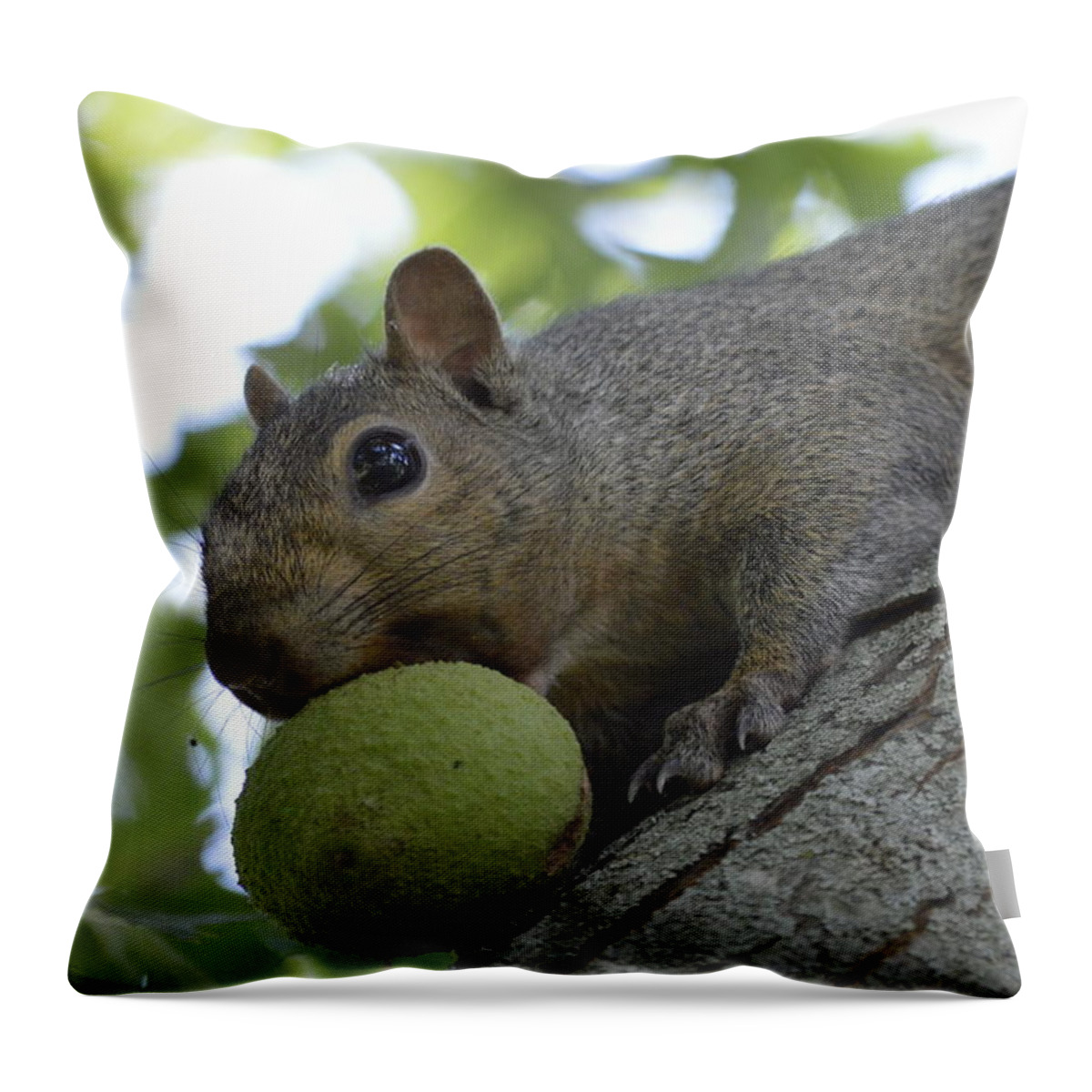 Squirrel Throw Pillow featuring the photograph My Ball by Bonfire Photography
