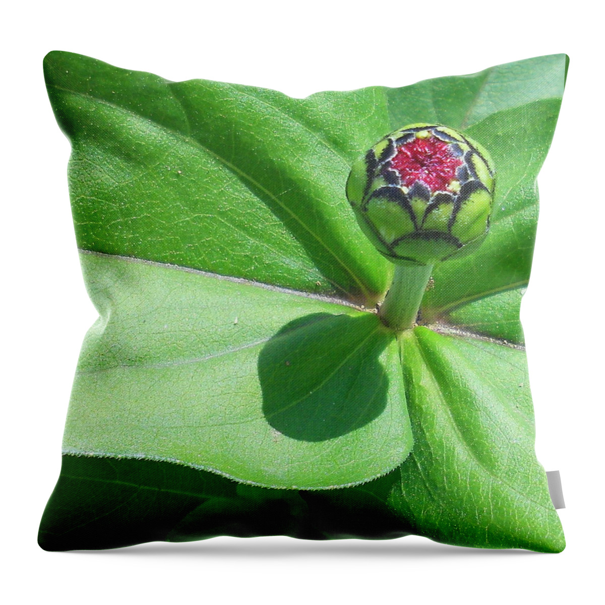 Flower Throw Pillow featuring the photograph My Bud by Diannah Lynch