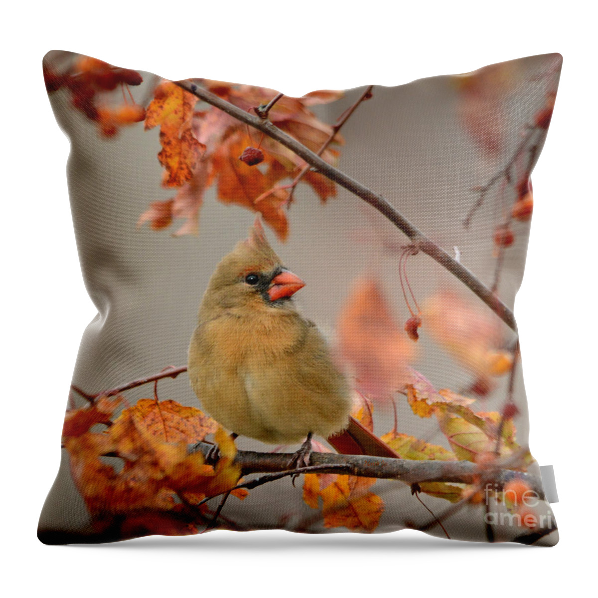 Nature Throw Pillow featuring the photograph Fall Colors by Nava Thompson