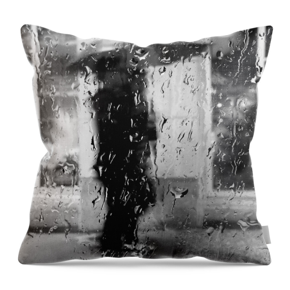 Rain Throw Pillow featuring the photograph My Damp Chances by J C