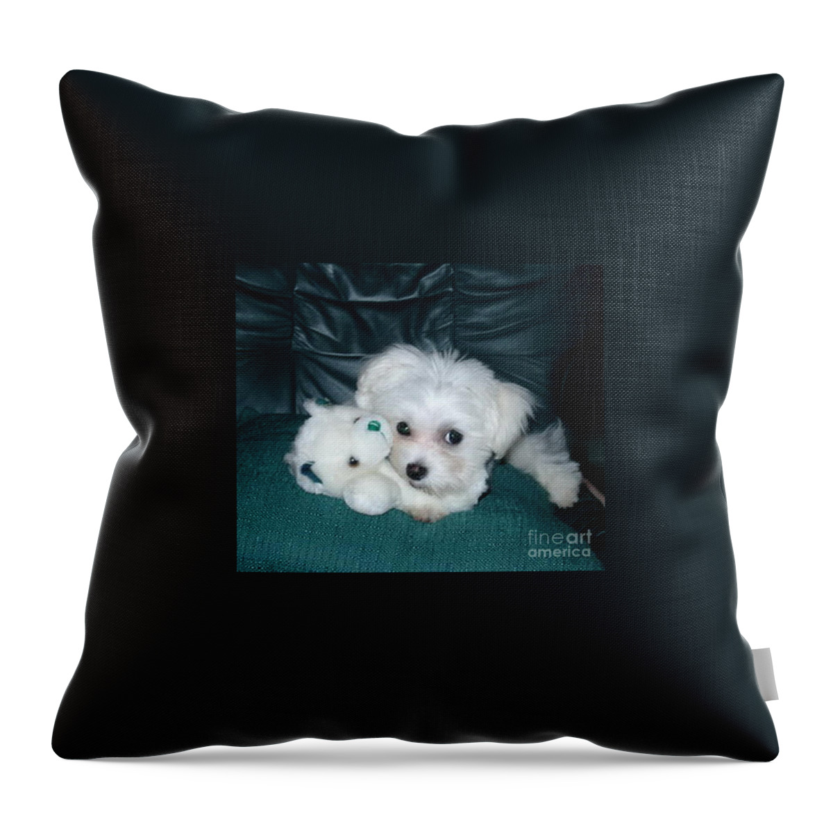 My Dog Throw Pillow featuring the photograph My Dog Maggie by Joyce Gebauer