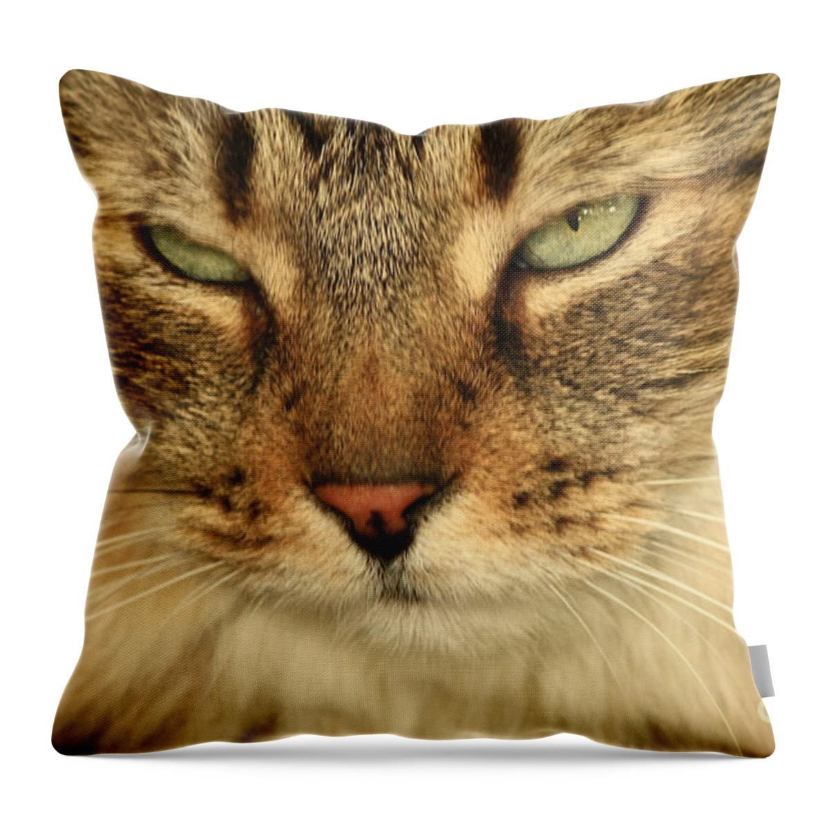 My Friend's Cat Throw Pillow featuring the photograph My Friend's Cat by Inspired Nature Photography Fine Art Photography