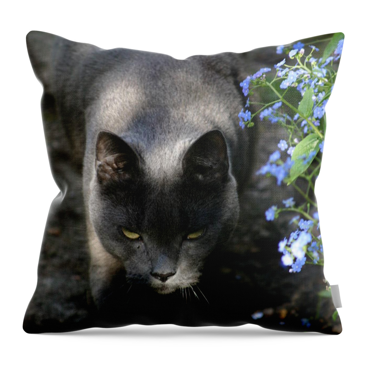 Cat Throw Pillow featuring the photograph My grey panther by Susanne Baumann