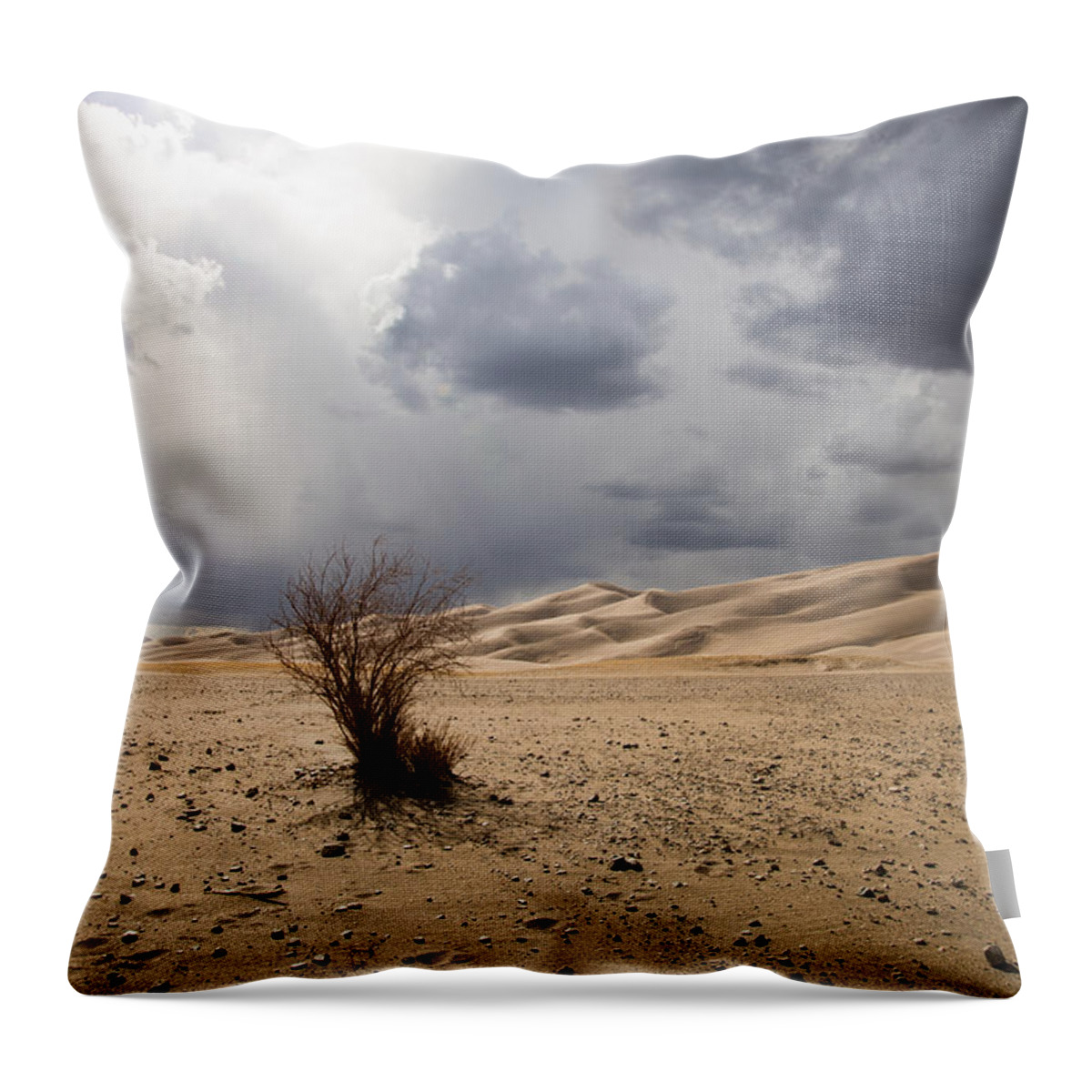 Bush Throw Pillow featuring the photograph My Heart Withers When You Are Not Near by Alex Lapidus