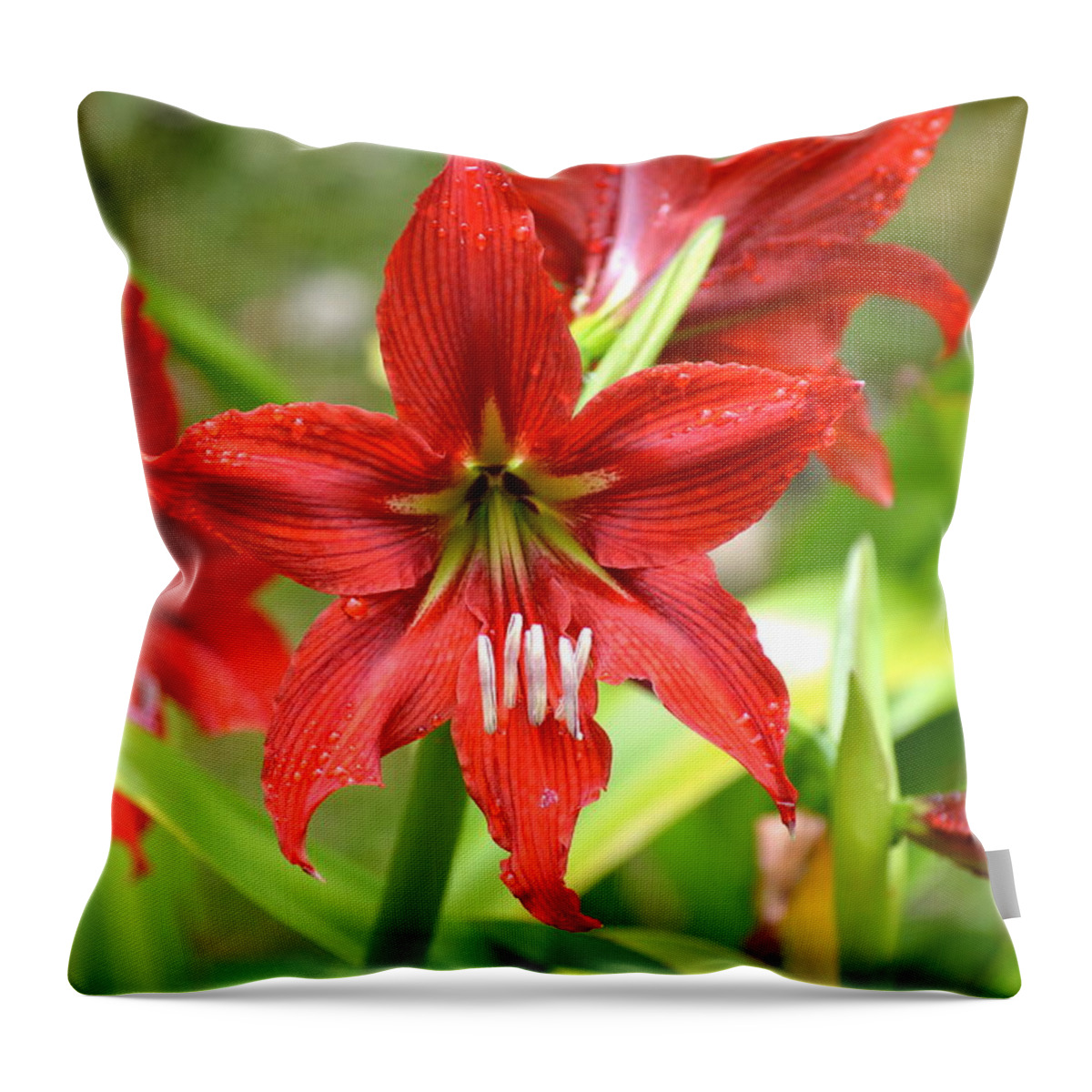 Flower Throw Pillow featuring the photograph My Red Daylily...after the rain by Lehua Pekelo-Stearns