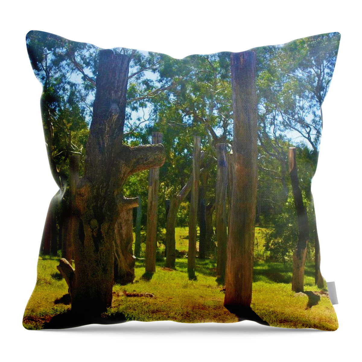 Totem Throw Pillow featuring the photograph Mysterious Totems by Mark Blauhoefer