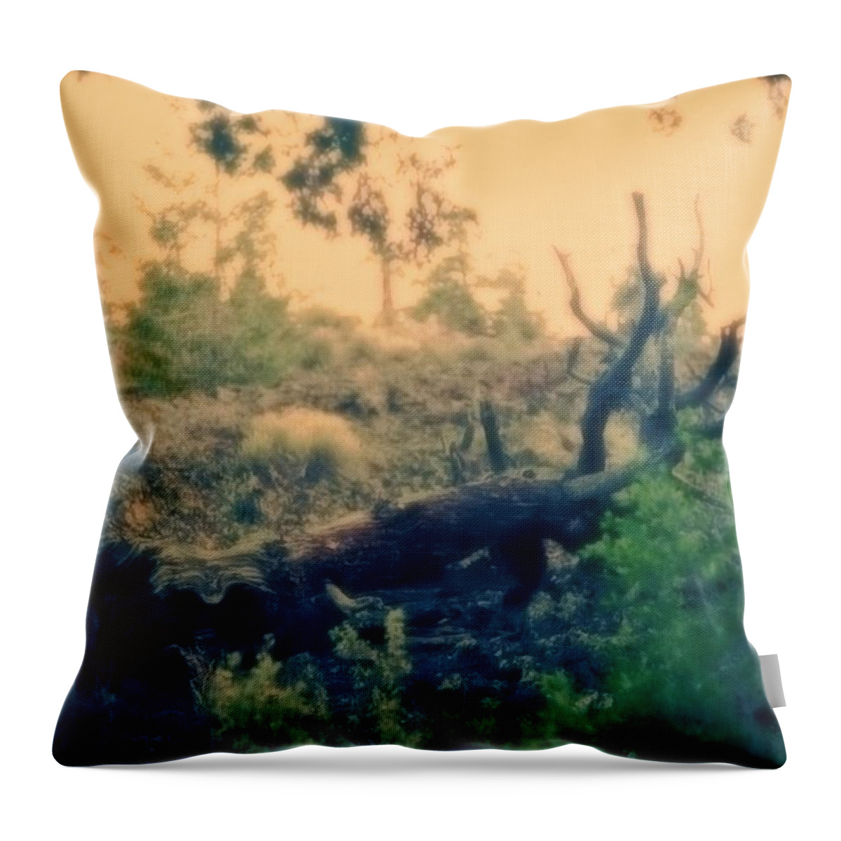 Bandera Throw Pillow featuring the photograph Mystery and Wonder by Carol Whaley Addassi
