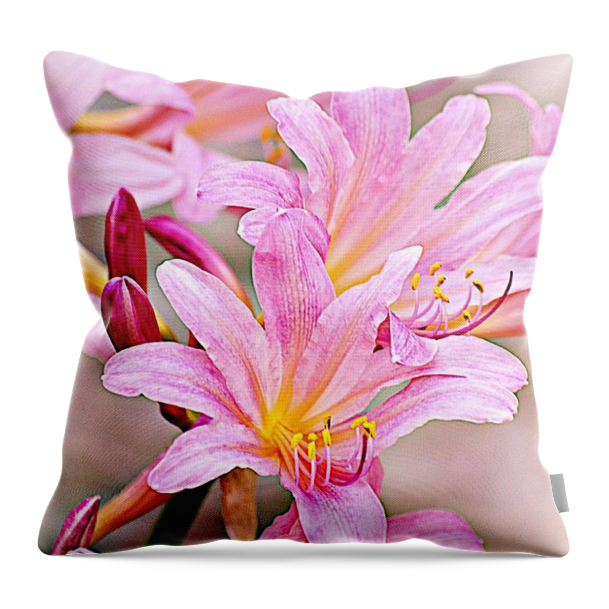 Pink Lilies Throw Pillow featuring the photograph Naked Ladies or Surprise Lilies by Karen McKenzie McAdoo