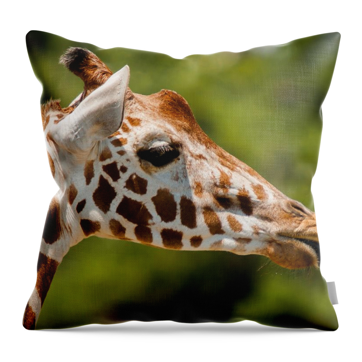 Giraffe Throw Pillow featuring the photograph Nana Nana Boo Boo by Robert L Jackson