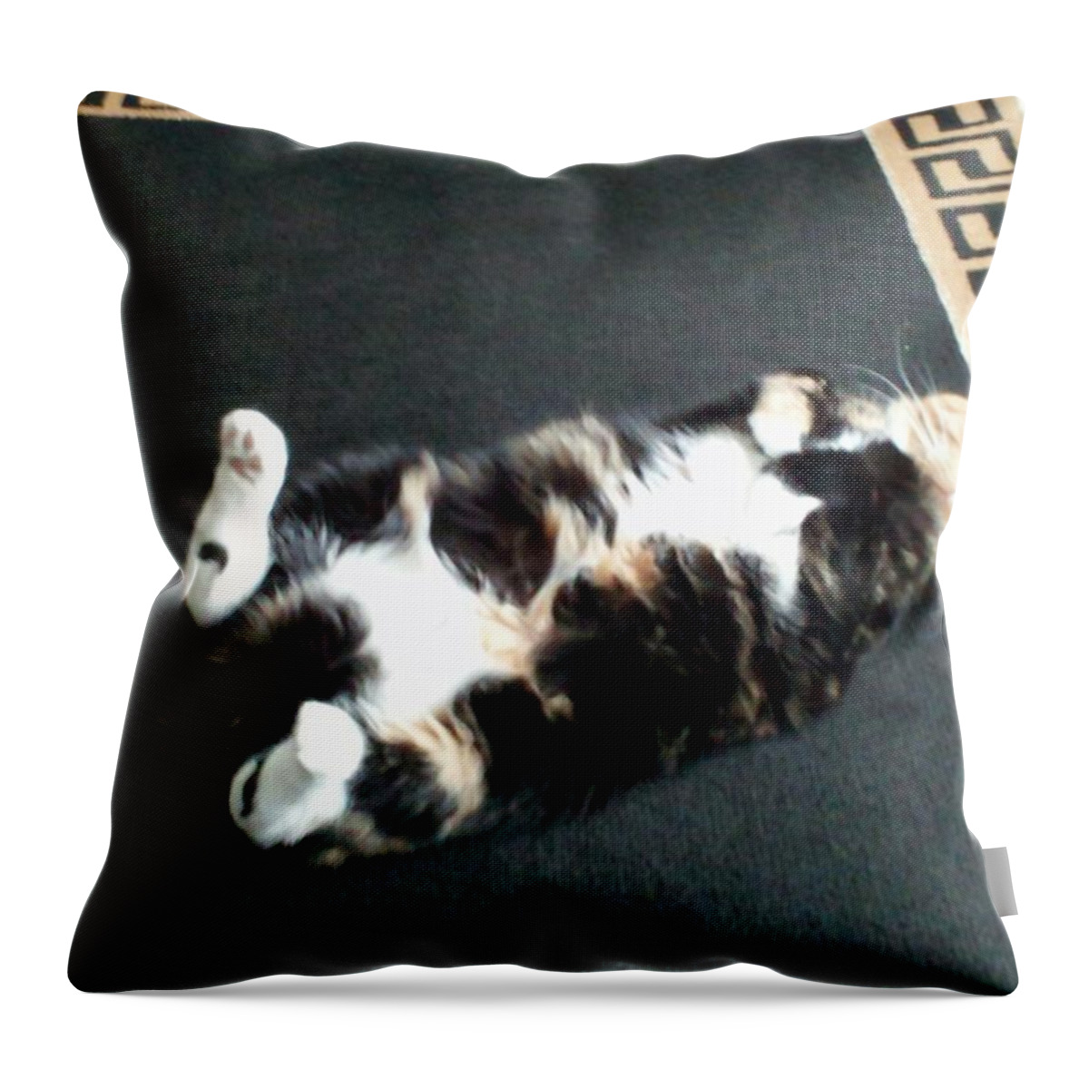 Cat Photo Throw Pillow featuring the photograph Nap Time by Gerry Smith