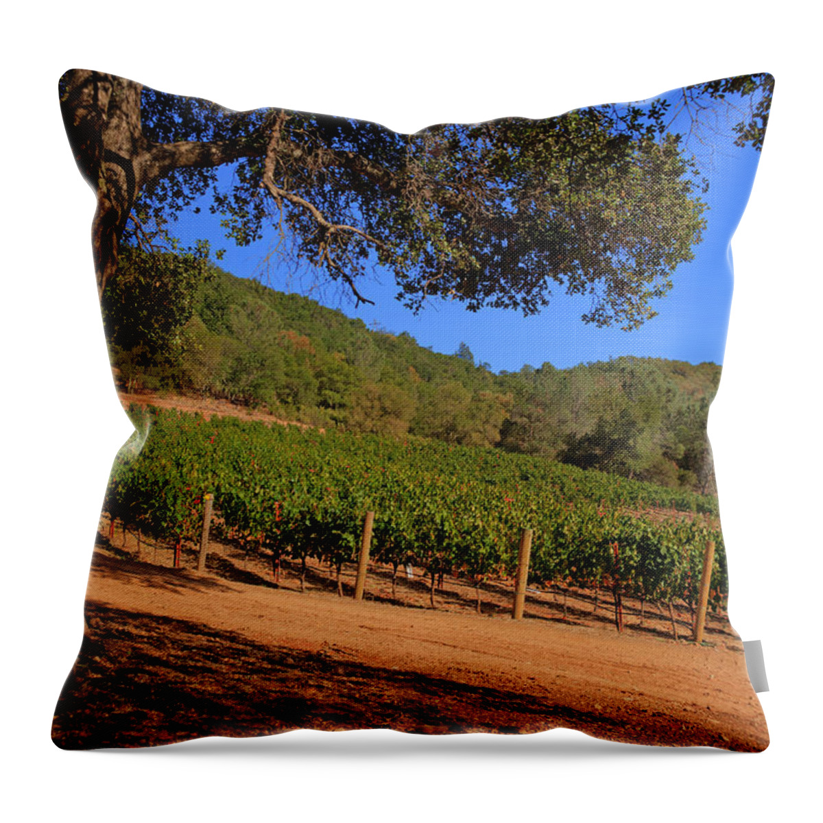 Vineyard Throw Pillow featuring the photograph Napa vineyard by Cliff Wassmann