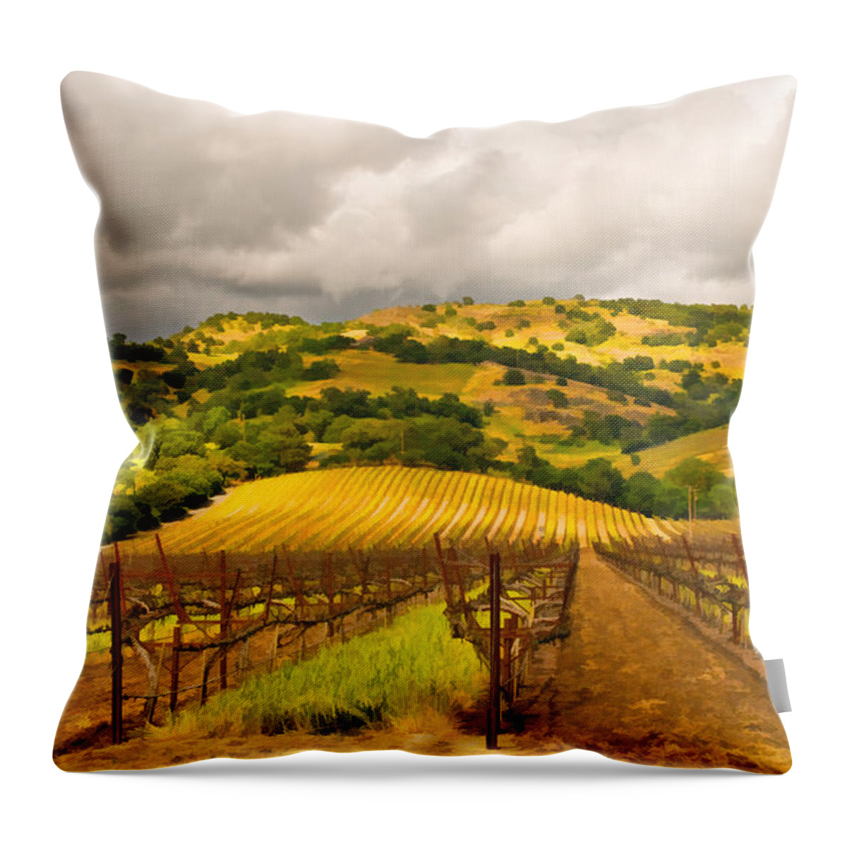 Napa Valley Throw Pillow featuring the digital art Napa Vineyard by Mick Burkey