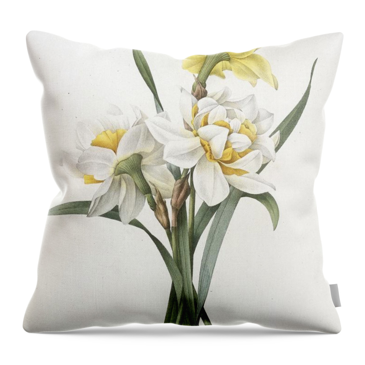 Redoute Throw Pillow featuring the painting Narcissus Gouani Double Daffodil by Pierre Joseph Redoute
