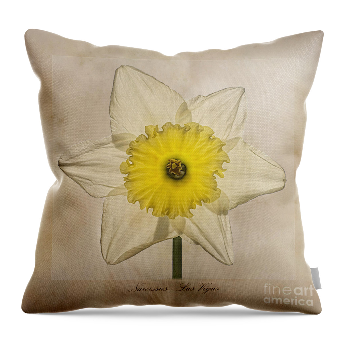 Daffodil - Las Vegas Throw Pillow featuring the photograph Narcissus Las Vegas by John Edwards