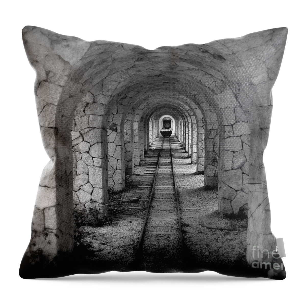 Arched Narrow Gauge Throw Pillow featuring the photograph Arched Narrow Gauge by Patrick Witz