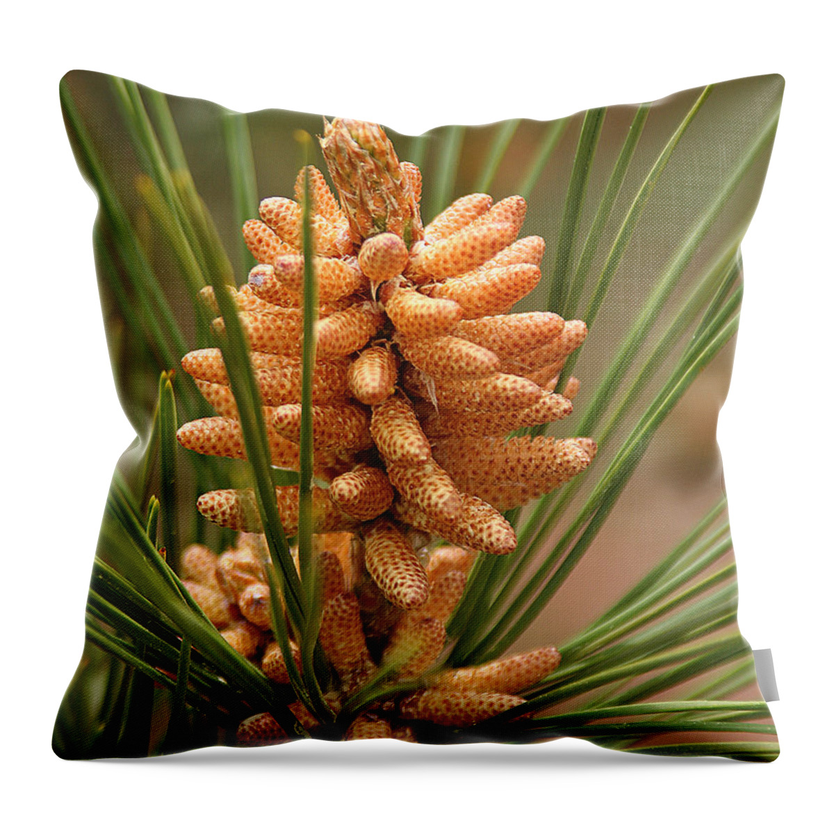 Nature Throw Pillow featuring the photograph Nascent Pinecone by William Selander