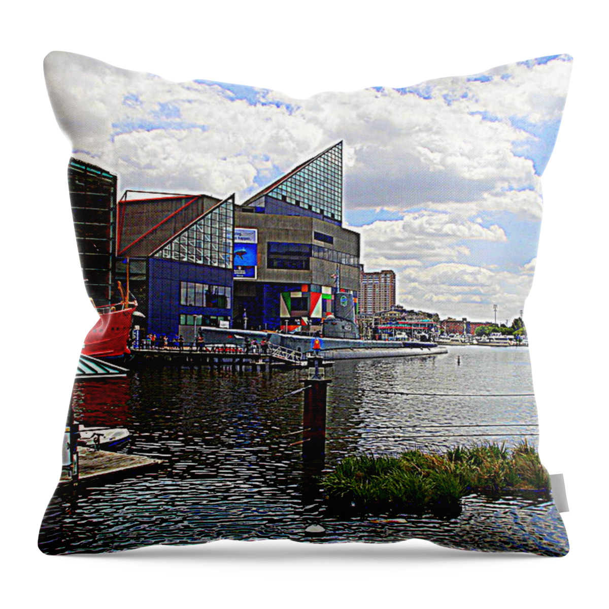 Baltimore Throw Pillow featuring the photograph National Aquarium Baltimore Maryland by Pamela Hyde Wilson