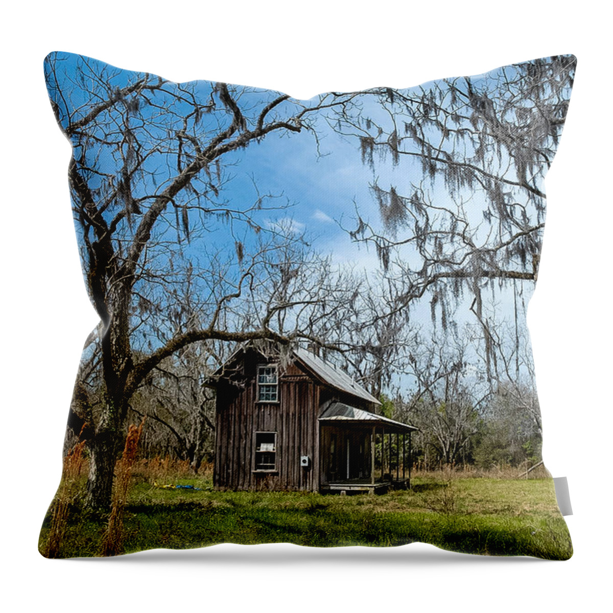 Native-florida Throw Pillow featuring the photograph Native Florida by Bernd Laeschke