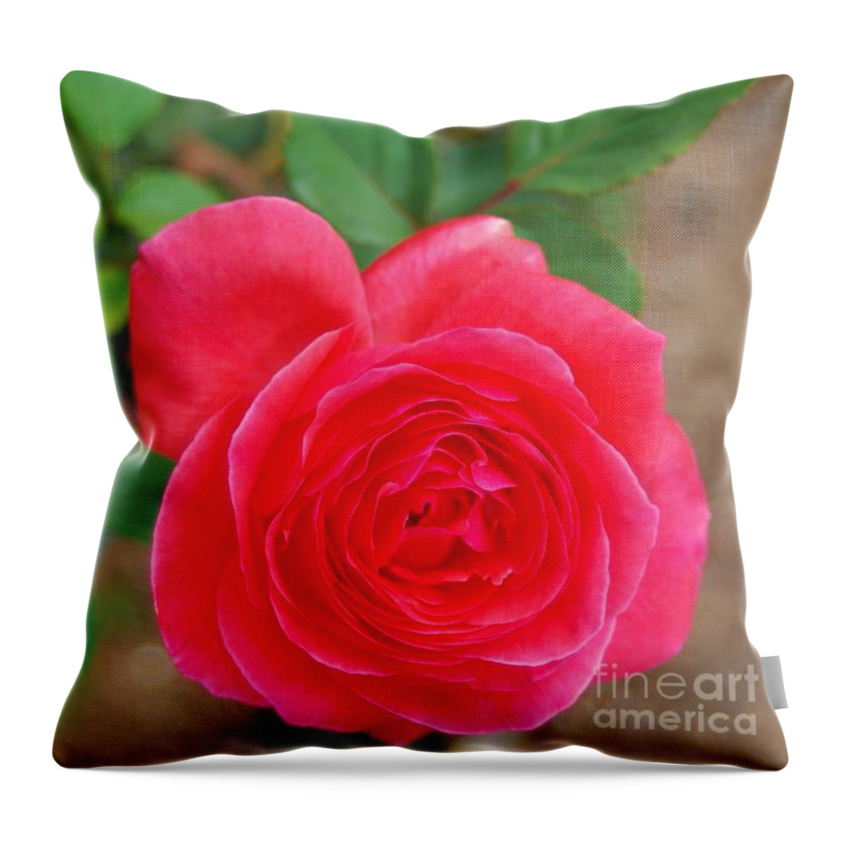 Garden Rose Throw Pillow featuring the photograph NaturaL GarDeN BeauTY by Angela J Wright
