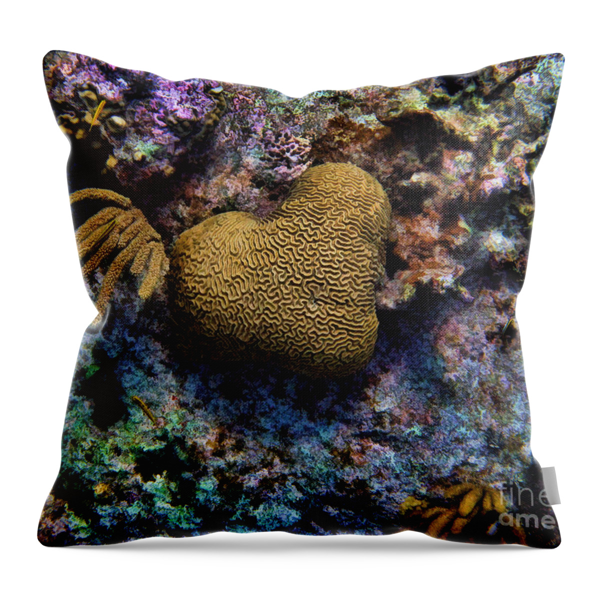 Coral Throw Pillow featuring the photograph Natural Heart by Peggy Hughes