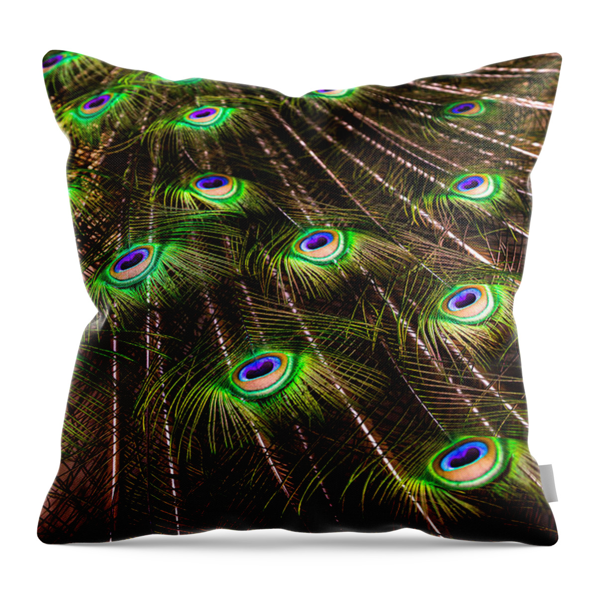 Peacock Feathers Throw Pillow featuring the photograph Nature Abstracts by Karen Wiles