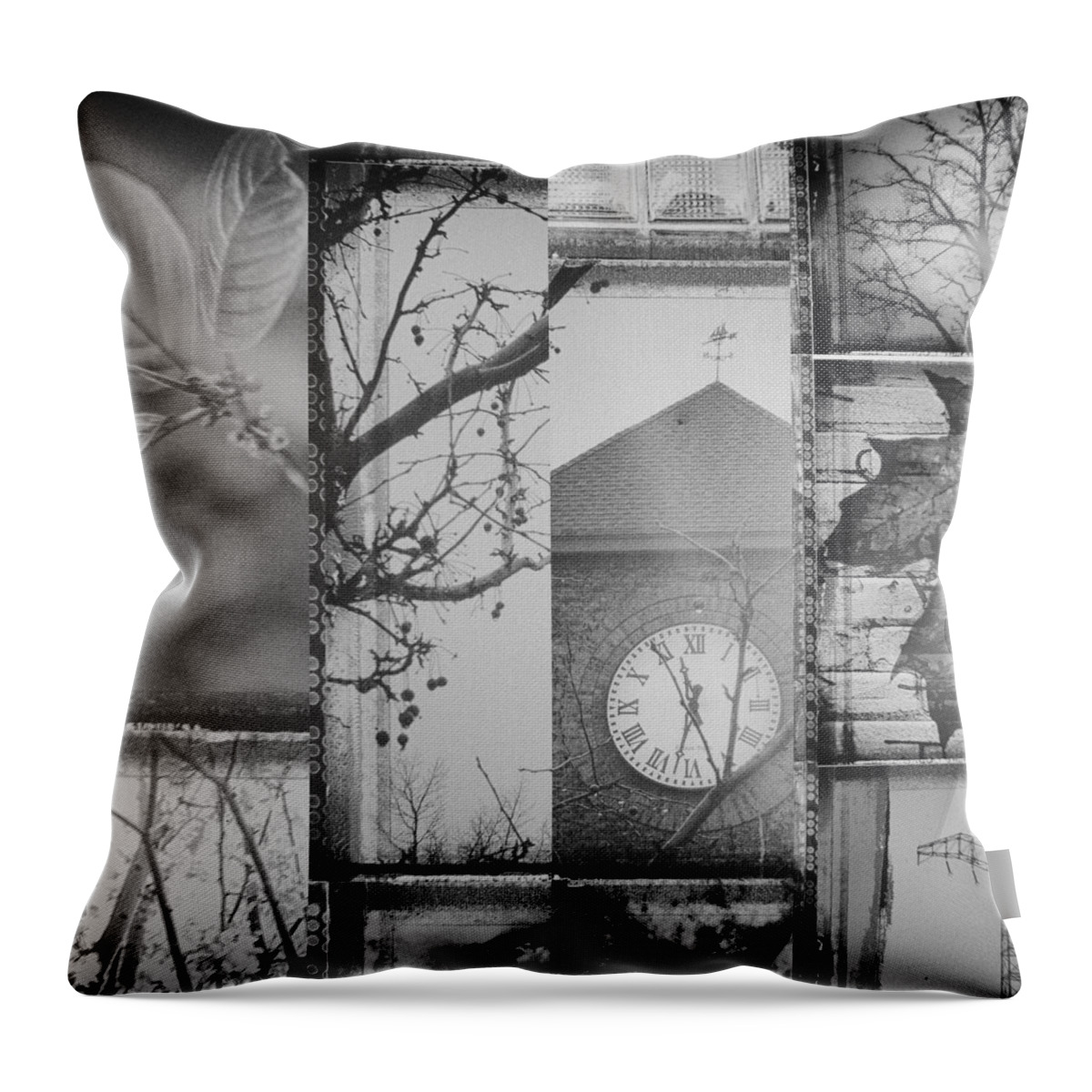 Clock Throw Pillow featuring the photograph Nature and Time by Susan Stone