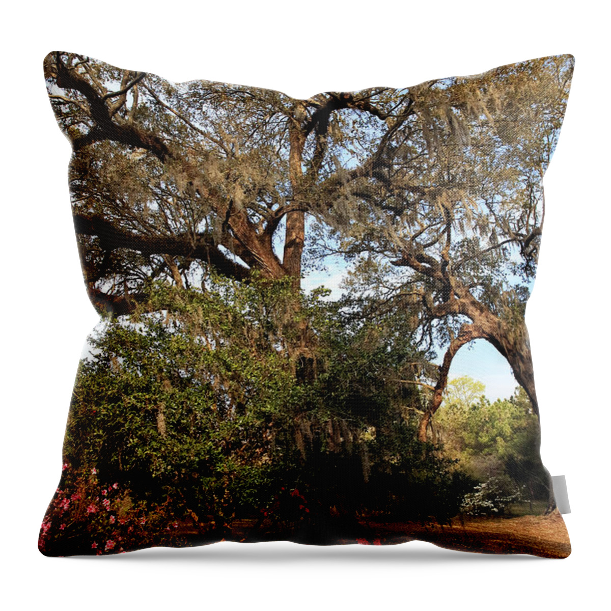 Nature At The Plantation Throw Pillow featuring the photograph Nature at the Plantation by John Rizzuto