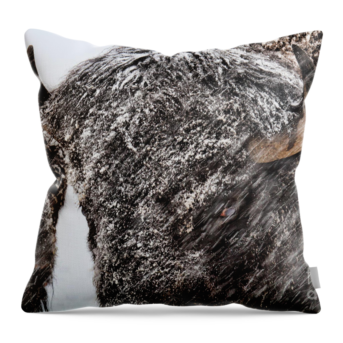 Buffalo Throw Pillow featuring the photograph Winter's Fury by Jim Garrison