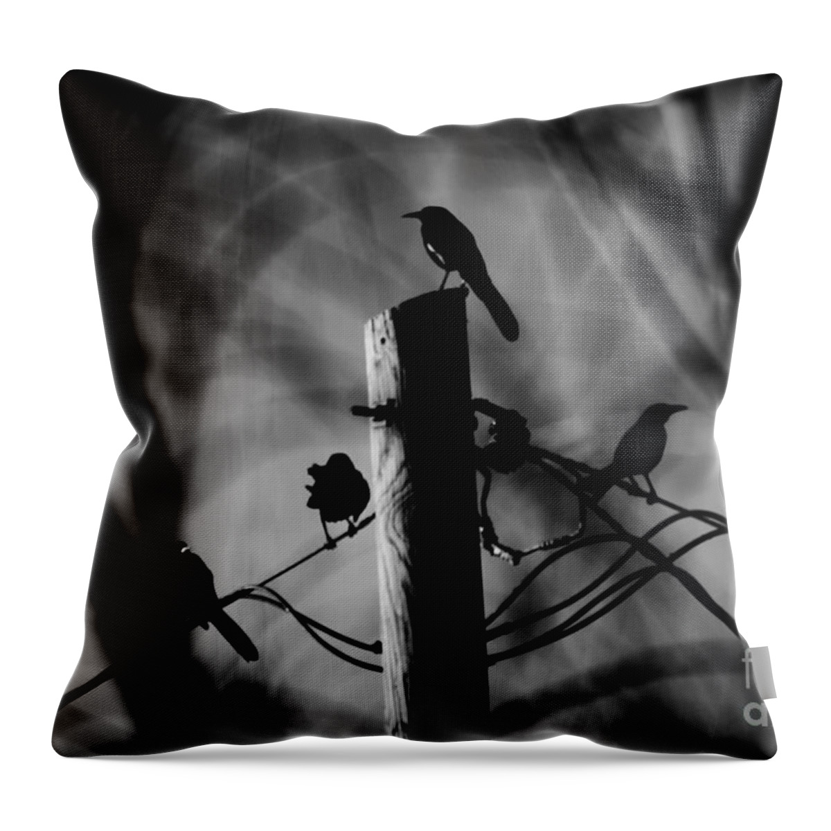 Birds Throw Pillow featuring the photograph Nature in the Slums by Jessica S