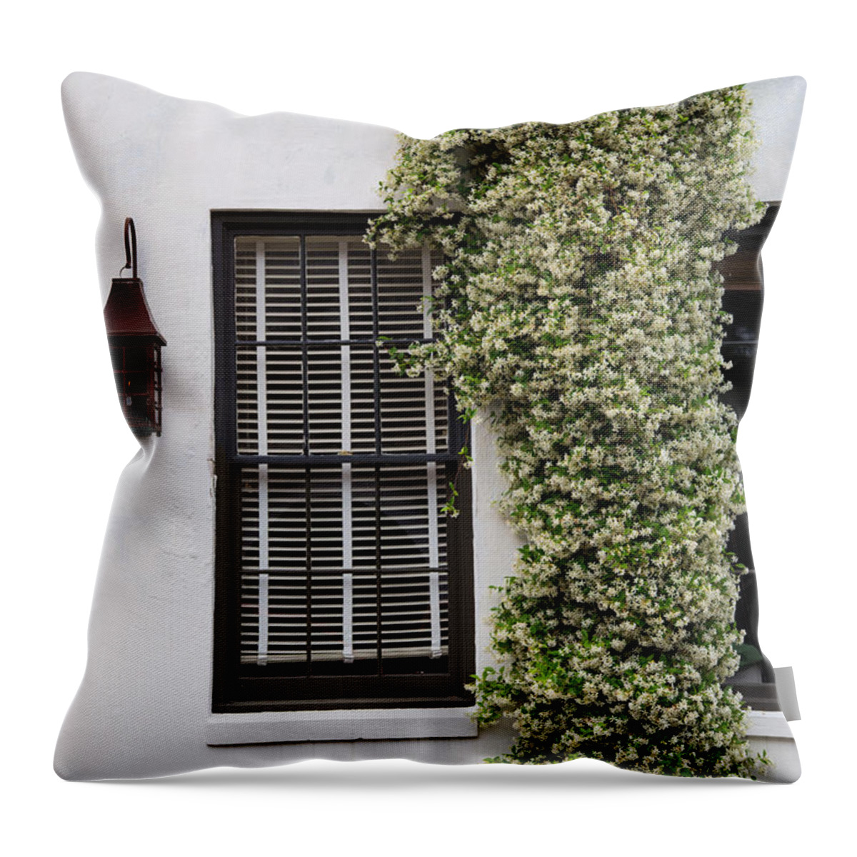 Nature Takes Over Throw Pillow featuring the photograph Nature Takes Over by Karol Livote