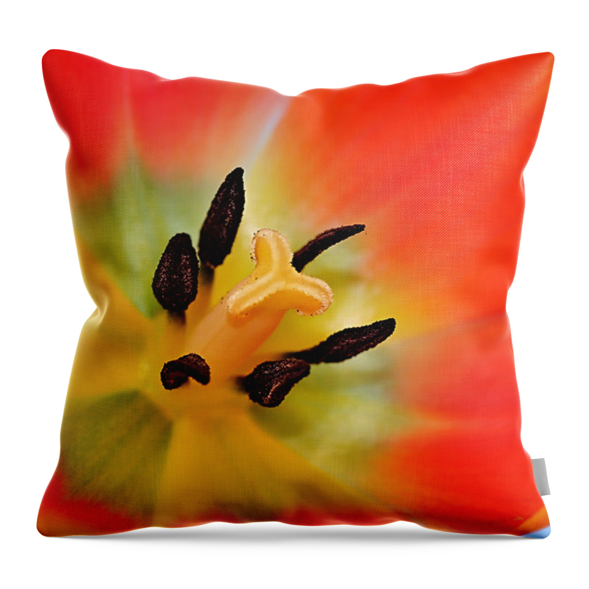 Photography Throw Pillow featuring the photograph Nature's Amazing Colors by Kaye Menner