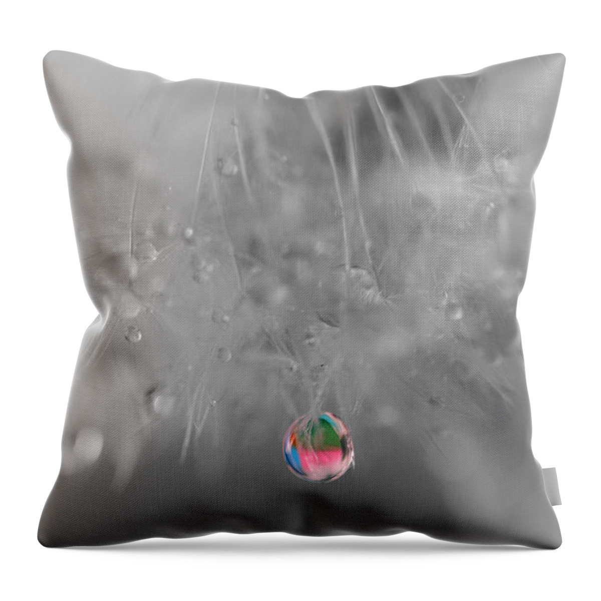 Dew Drop Throw Pillow featuring the photograph Nature's Crystal Ball by Marianna Mills