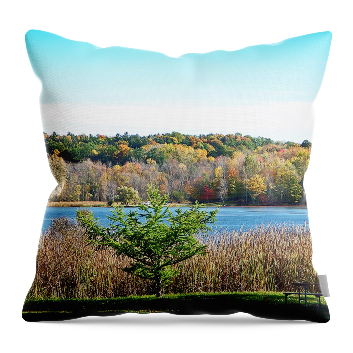 Autumn Throw Pillow featuring the photograph Natures Gift by Aimee L Maher ALM GALLERY