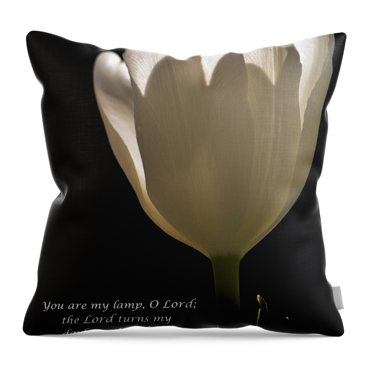 Tulip Throw Pillow featuring the photograph Nature's Lamp by Deb Halloran