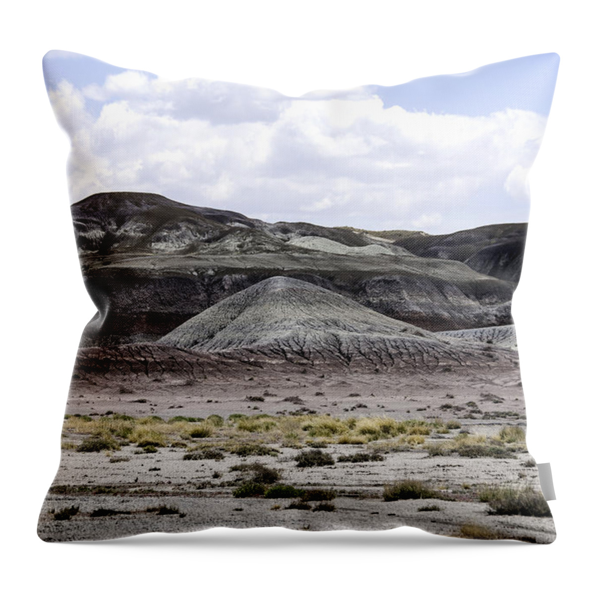 Desert Throw Pillow featuring the photograph Natures Palette by Judy Hall-Folde