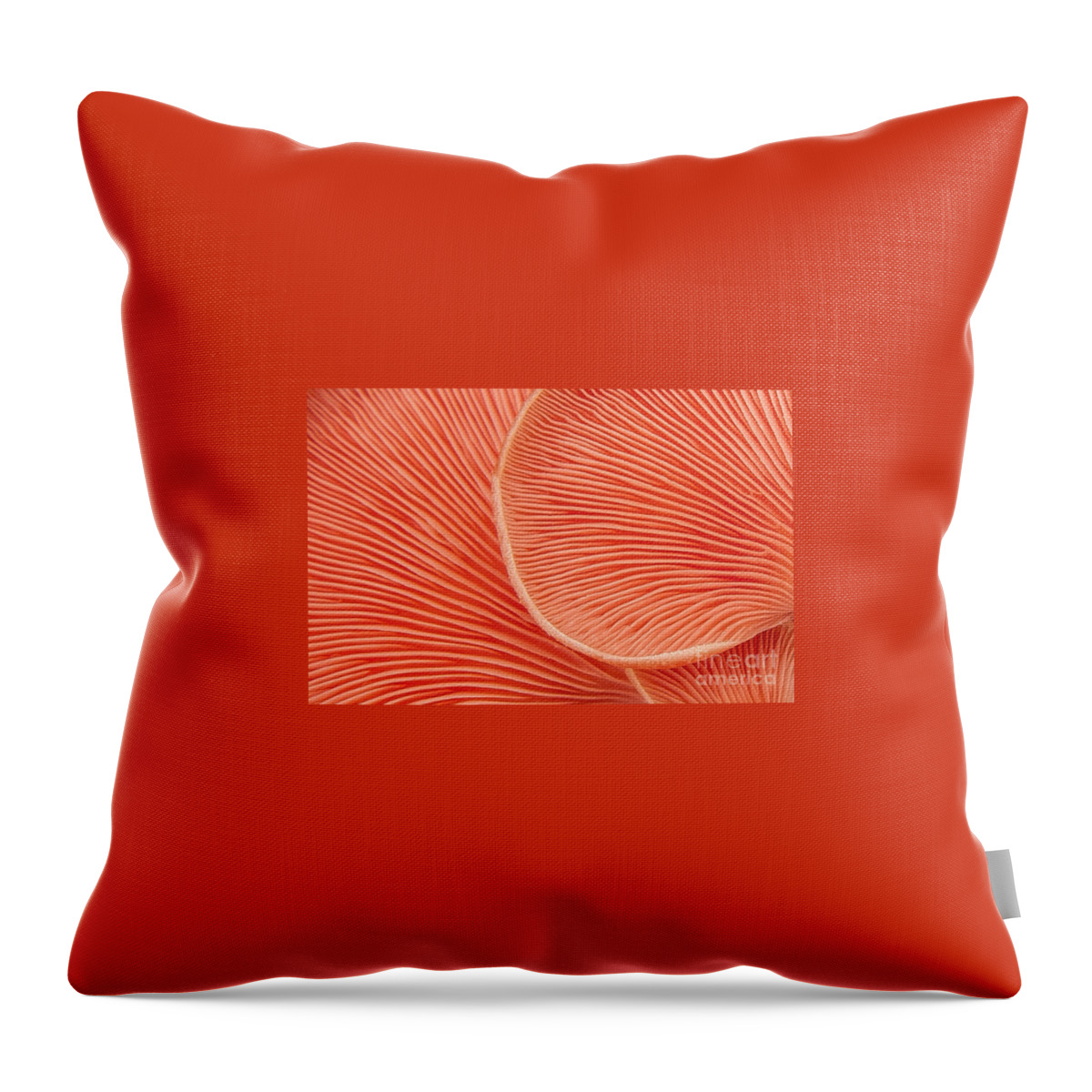 Autumn Throw Pillow featuring the photograph Nature's Patterns by Marilyn Cornwell