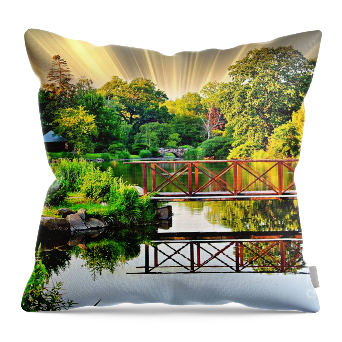 Park Throw Pillow featuring the photograph Nature's Reflections by Judy Palkimas