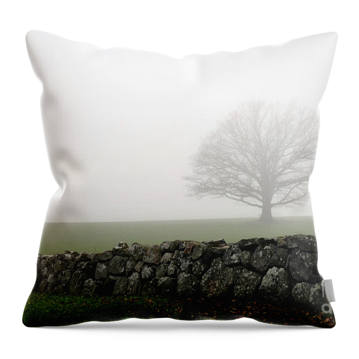 Soft Throw Pillow featuring the photograph Nature's Softbox by Randi Grace Nilsberg